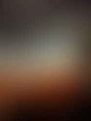 Terno de Reis em Boipeba: a tradição está de volta!