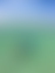 8 experiências em Boipeba que você merece viver