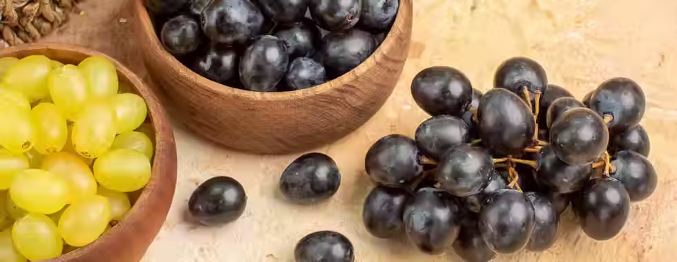 3 vinícolas na Chapada Diamantina que valem o passeio