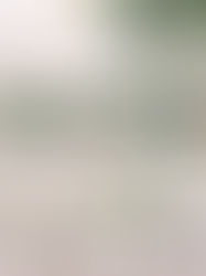 Os 3 melhores espaços para eventos em Boipeba