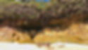 Cascatinha Praia da Pedra Mole Barra do Paraguaçu Salinas da Margarida