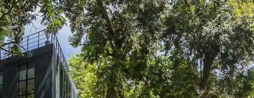 Jardim Botânico de Salvador: saiba tudo e aproveite ao máximo!