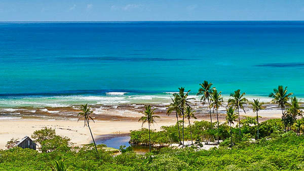coqueiros rio e o mar verde de arraial dajuda