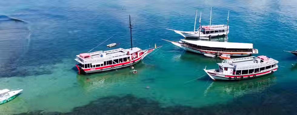 Recife de Fora: um paraíso perto de Porto Seguro