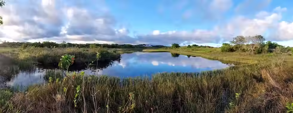 Parque das Dunas: natureza preservada em Salvador