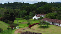 fazenda de cacau na Bahia