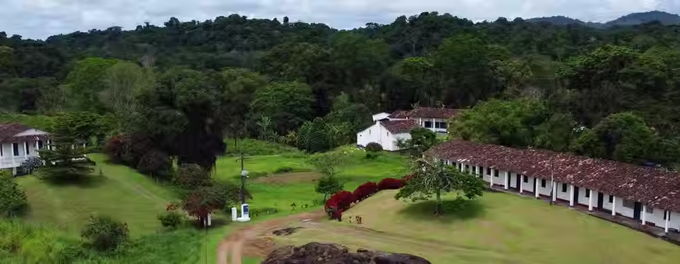 5 fazendas de cacau na Bahia que vale a pena conhecer