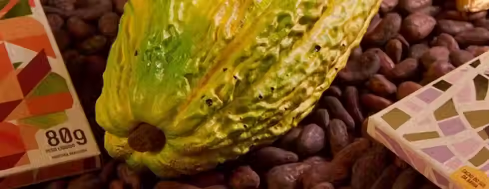 6 chocolates da Bahia que você precisa experimentar