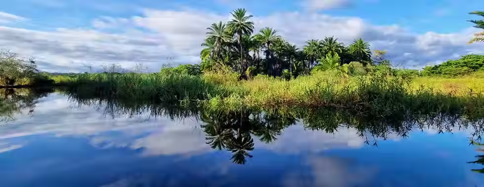 Pantanal Marimbus: como é esse lugar da Chapada Diamantina?