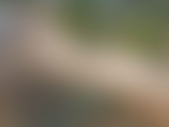 Praia Costa do Sauípe