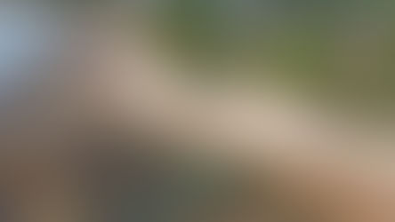 Praia Costa do Sauípe