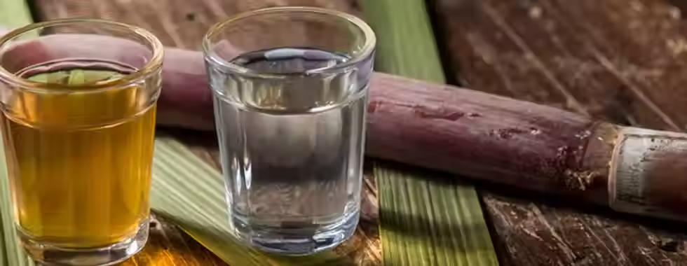 Rota da Cachaça, Bahia: confira as cachaças premiadas da região