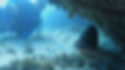 Mergulho com cilindro em Abrolhos