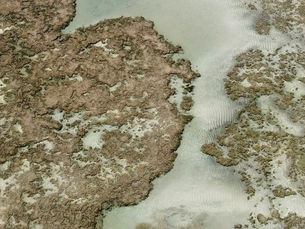 Ilha da Coroa Vermelha: saiba tudo sobre o lugar