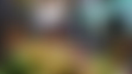 Feira de São Joaquim: experiências sensoriais e culturais