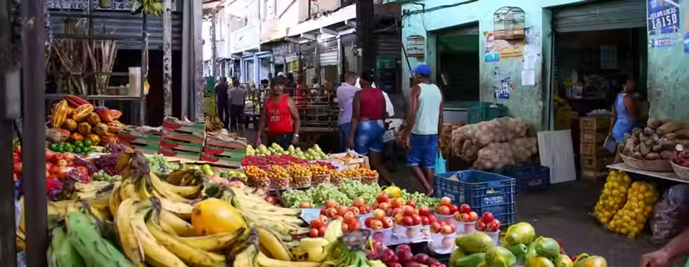 Feira de São Joaquim: experiências sensoriais e culturais