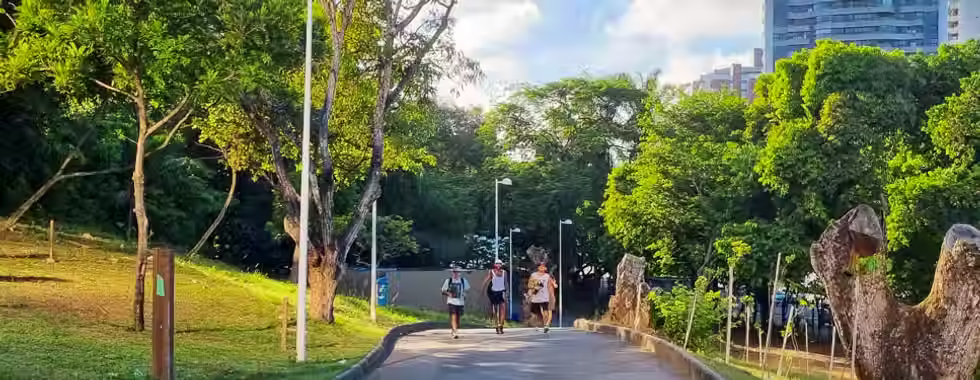 6 lugares para fazer piquenique em Salvador