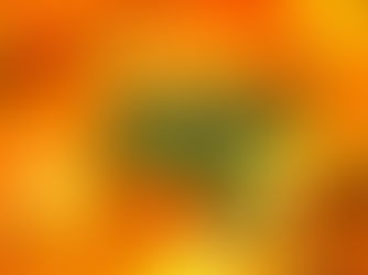 Moqueca baiana: receita e história desse prato típico