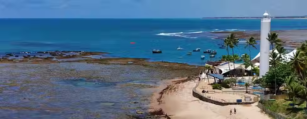 Projeto Tamar na Praia do Forte: lar das tartarugas marinhas
