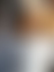 4 práticas sustentáveis na sua viagem a boipeba