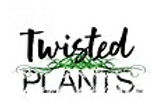 Twiested Plants.jpg