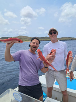 ed295c8b-d84d-4956-918c-66622e4653ec