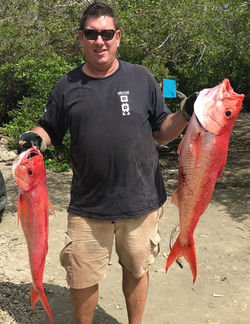 Queen snapper_edited_edited