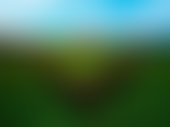 Why and How should you invest in real estate ?