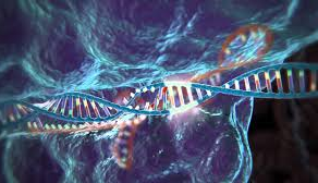 Stem Cells therapy- The future has come today