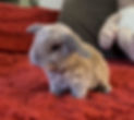 IMG_0787.jpeg