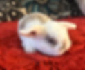 IMG_0773.jpeg