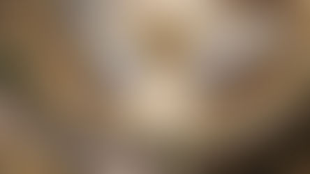 Opéra pour les jeunes