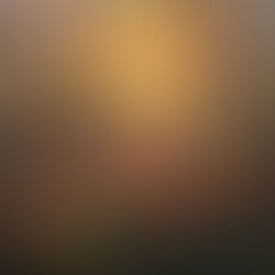 When I Speak Freely, What Need Am I Trying to Meet? Connection? Humor? Intelligence? Validation? Control?