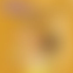 #24 Les 4 étapes pour obtenir une augmentation de salaire !