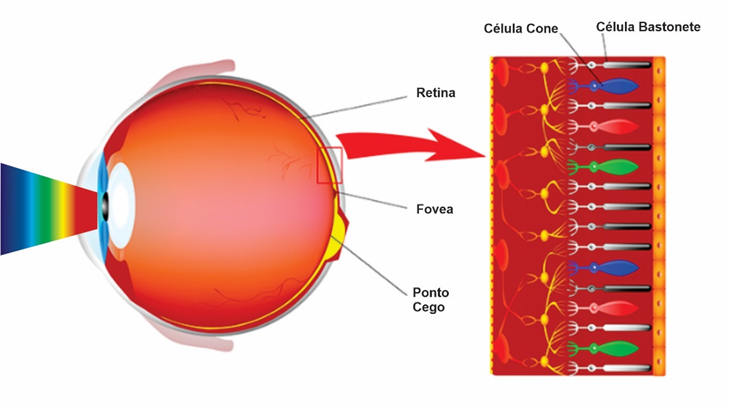ACUIDADE VISUAL E DALTONISMO FRENTE AO TRADE DRESS