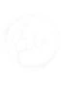 logo_la-cellule-souche BLANC WEB_edited_edited_edited.jpg