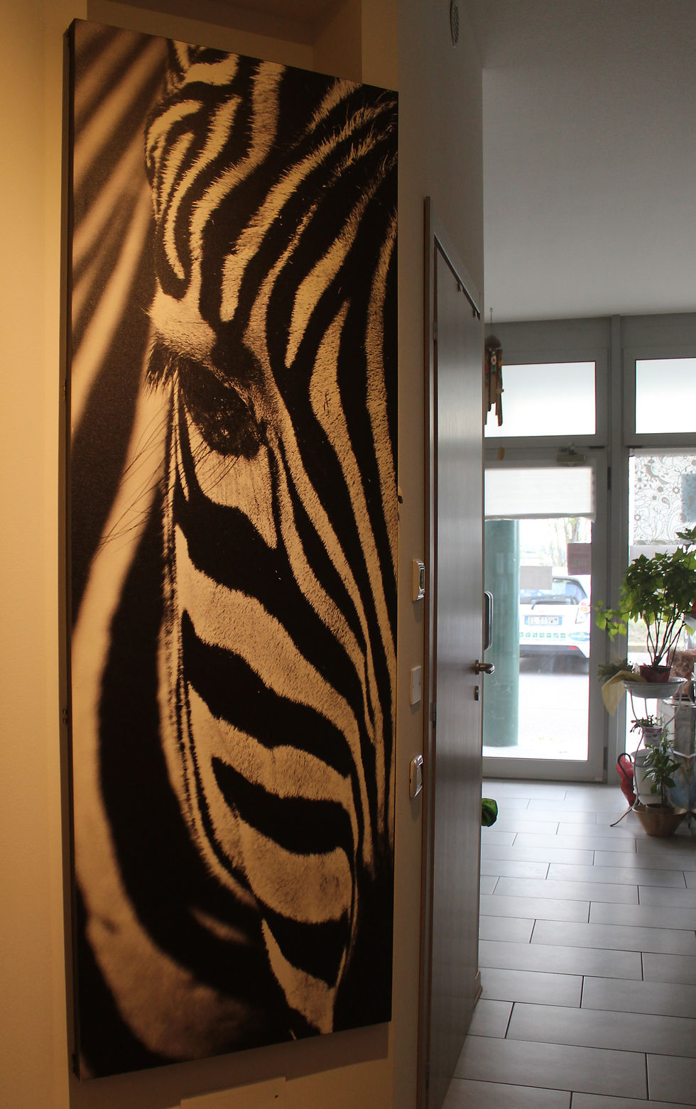 zebra
