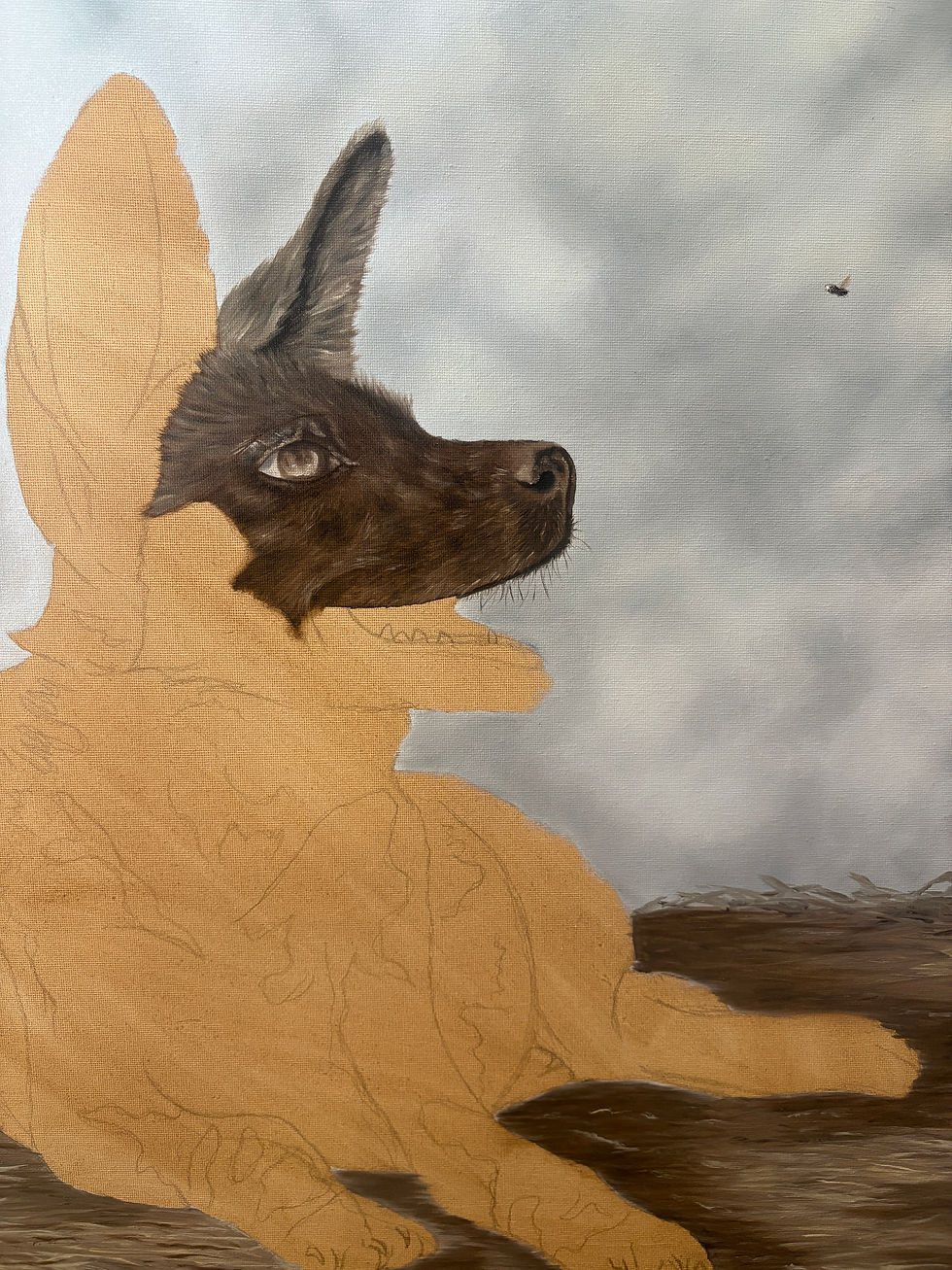 In the Shade of Curiosity - Behind the Wild Dog Painting