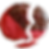 cookis-3.png