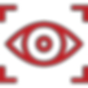 Red eye icon inside a target, symbolizing vision and observation