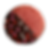 Chocolate-Covered-Strawberry-Cookies13085.png