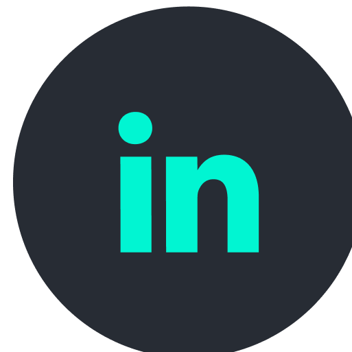 LinkedIn Logo Icon