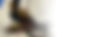 banner-11.jpg