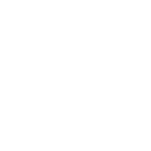 camera (1).png