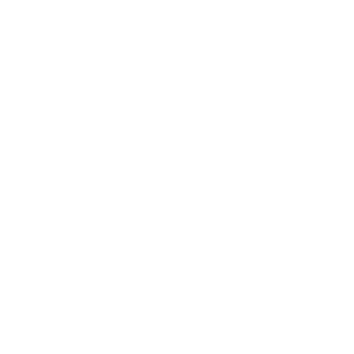 Idea and direction icon
