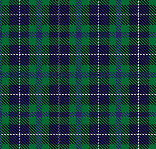 Tartan Patter 1_edited.jpg