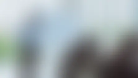 Growth Guide: Market Playbooks