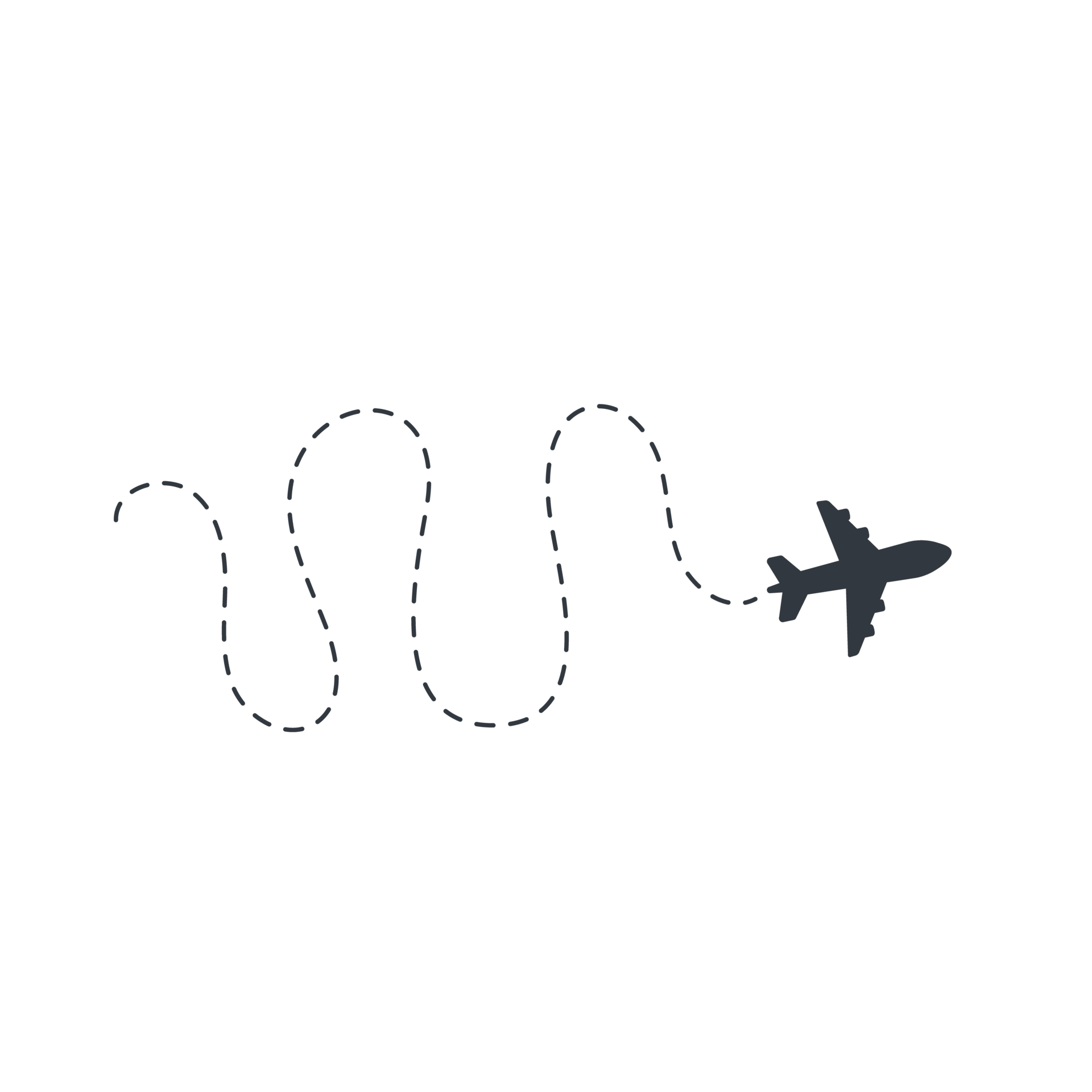 flight