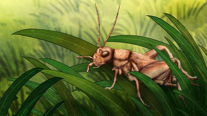 background design illustration