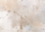 Abstract beige and brown wall texture